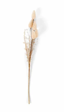 CASA ADDO Vaso Crema| Vasi