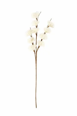 CASA ADDO Vaso Crema| Vasi