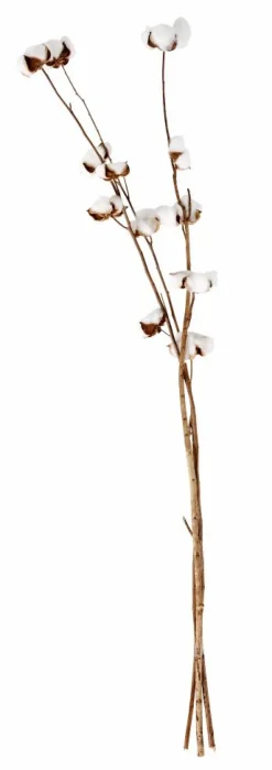 CASA ADDO Vaso Crema| Vasi