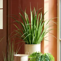 CASA ALLIUM Erba Decorativa Verde| Piante Artificiali