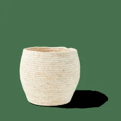 CASA ALVIN Cesto Portatutto Con Coperchio Marrone, Naturale| Cesti Portatutto|Autunno