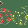 CASA ARO Filo Luminoso Con 20 Luci Led 2 Disegni Rosso, Verde| Fili Luminosi