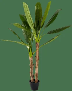 CASA BANANA Banano Verde| Piante Artificiali