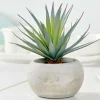 CASA CEMENT Succulente Finto In Vaso Grigio| Piante Artificiali
