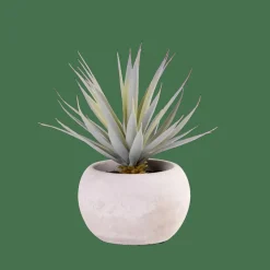 CASA CEMENT Succulente Finto In Vaso Grigio| Piante Artificiali