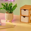 CASA CERA Pianta Artificiale Vari Colori| Piante Artificiali