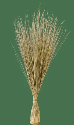 CASA COGON Mazzo Di Erba Naturale| Piante Artificiali