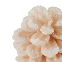CASA CONE Candela Marrone| Candele