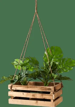 CASA CRATE Cassa Naturale| Cassette