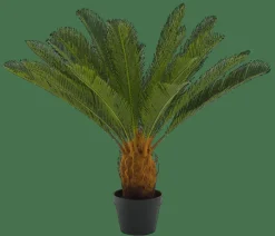 CASA CYCAS Palma Verde| Piante Artificiali