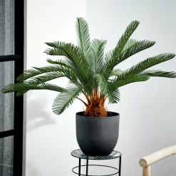 CASA CYCAS Palma Verde| Piante Artificiali