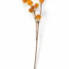 CASA DANDIL Stelo Arancione| Fiori Artificiali|Autunno