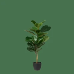 CASA FIGI Nero, Verde Scuro| Piante Artificiali