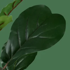 CASA FIGI Nero, Verde Scuro| Piante Artificiali