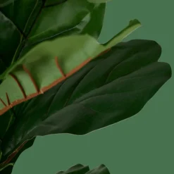 CASA FIGI Pianta Artificiale Vari Colori| Piante Artificiali