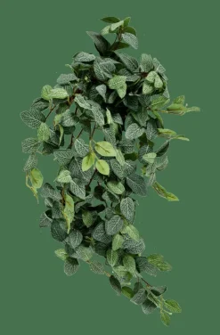 CASA FITTONIA Ghirlanda Di Foglie Verde| Piante Artificiali|Rami Artificiali