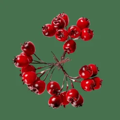 CASA FOAM Decorazione Cinorrodo Rosso| Rami Artificiali