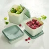CASA FREEZER Scatole X Freezer Set Di 10 Menta, Verde Scuro| Scatole Conserva Vivande