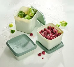 CASA FREEZER Scatole X Freezer Set Di 10 Menta, Verde Scuro| Scatole Conserva Vivande