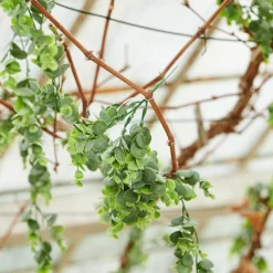 CASA GREEN Ramo Artificiale Verde| Rami Artificiali