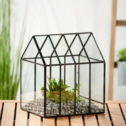 CASA GREENHOUSE Serra Minuscola Trasparente| Supporti Per Piante