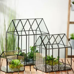 CASA GREENHOUSE Serra Minuscola Trasparente| Supporti Per Piante