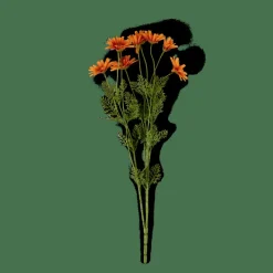 CASA INDI Arancione| Fiori Artificiali|Autunno