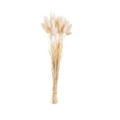 CASA LAGURUS Piumino Beige| Fiori Artificiali