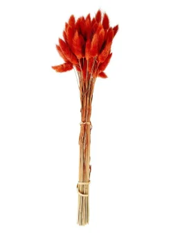 CASA LAGURUS Piumino Rosso| Fiori Artificiali