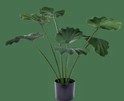 CASA LOTUS Pianta Verde| Piante Artificiali
