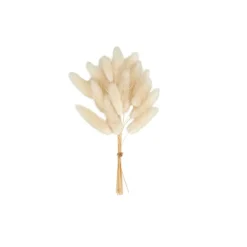 CASA MINA Deco Essiccata Bianco| Fiori Artificiali