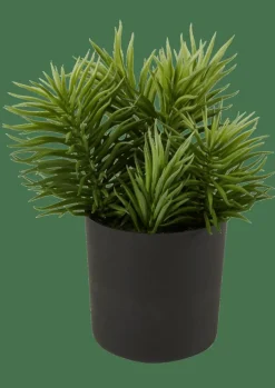 CASA MOHAVE Vari Colori| Piante Artificiali