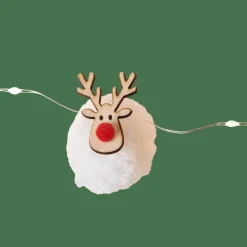 CASA OH DEER Filo Luminoso Con 20 Luci Led Bianco| Fili Luminosi