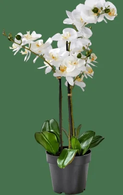 CASA ORCHID Orchidea In Vaso Bianco| Piante Artificiali