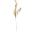 CASA PAMPA Pampas Bianco| Rami Artificiali|Autunno