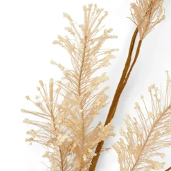 CASA PAMPA Pampas Bianco| Rami Artificiali|Autunno