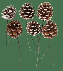 CASA PINECONE Pigne Set Da 6 2 Colori Bianco, Argentato| Autunno