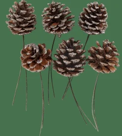 CASA PINECONE Pigne Set Da 6 2 Colori Bianco, Argentato| Autunno