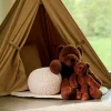 CASA POLA Orso Marrone| Kids