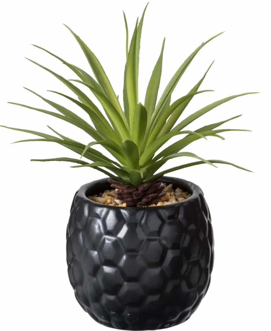 CASA STAGGY Soprammobile Naturale| Figurine Decorative
