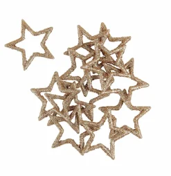 CASA STAR Decorazioni Secche| Fiori Artificiali