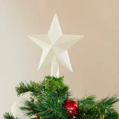 CASA STAR Decorazioni Secche| Fiori Artificiali