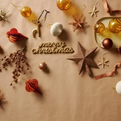 CASA STAR Decorazioni Secche| Fiori Artificiali