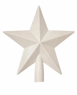 CASA STAR Decorazioni Secche| Fiori Artificiali
