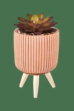 CASA STRIPE Succulente Finto In Vaso Multicolore| Piante Artificiali