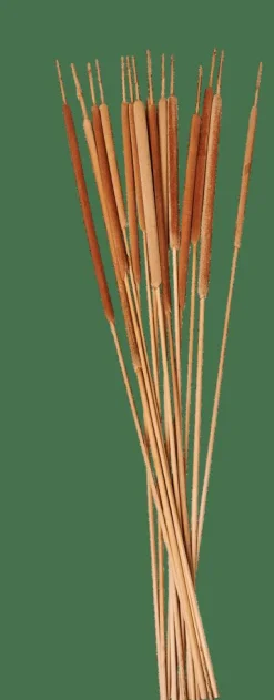 CASA TYPHA Canna Palustre Set Di 15 Naturale| Rami Artificiali|Fiori Artificiali