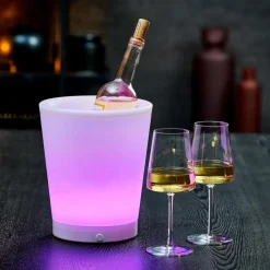CASA VACUVIN Pompa Sottovuoto Per Bottiglie Nero, Grigio| Accessori Per Vino