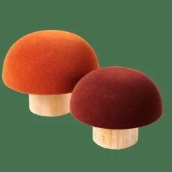 CASA VELVET Fungo Naturale, Multicolore| Autunno