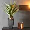 CASA VERA Aloe Vera Verde| Piante Artificiali