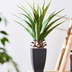 CASA VERA Aloe Vera Verde| Piante Artificiali